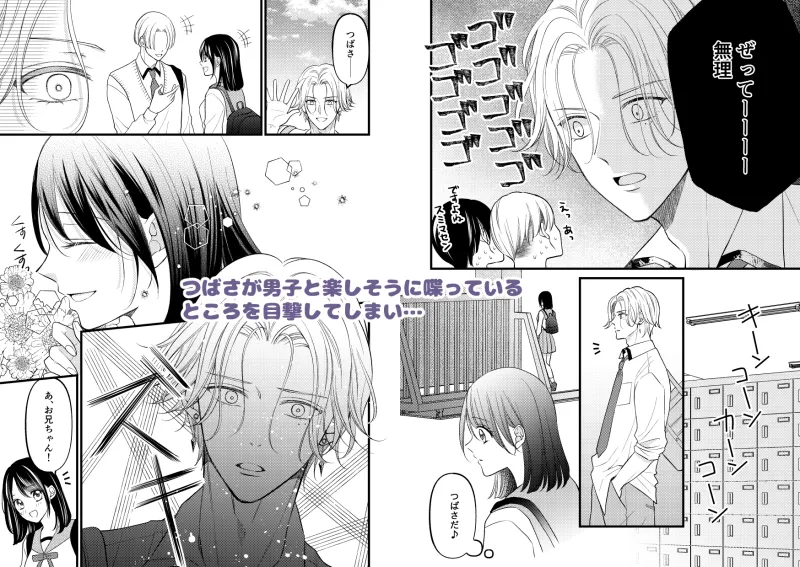 お兄ちゃんの嫉妬Hがいじわるすぎます! お兄ちゃんの嫉妬Hがいじわるすぎます!