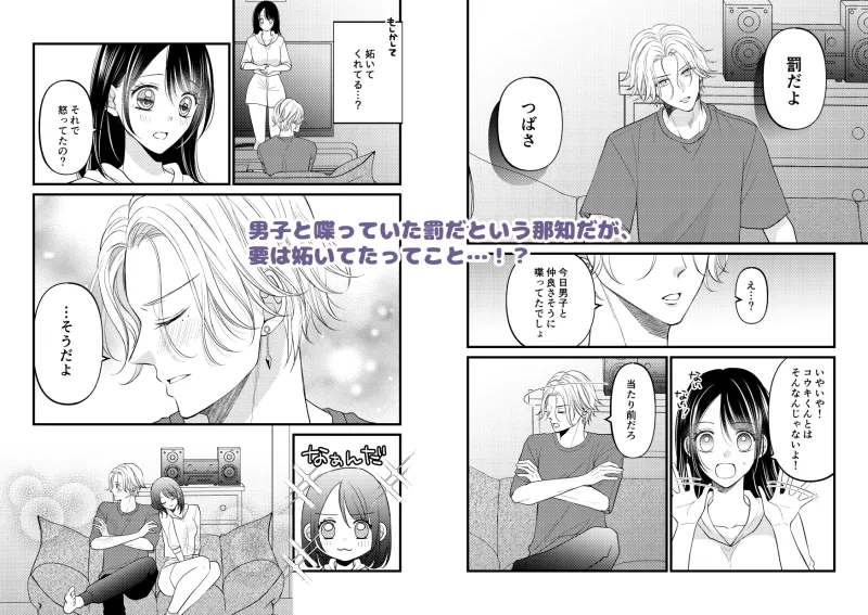 お兄ちゃんの嫉妬Hがいじわるすぎます! お兄ちゃんの嫉妬Hがいじわるすぎます!