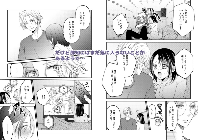 お兄ちゃんの嫉妬Hがいじわるすぎます! お兄ちゃんの嫉妬Hがいじわるすぎます!