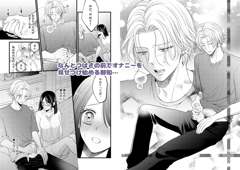 お兄ちゃんの嫉妬Hがいじわるすぎます! お兄ちゃんの嫉妬Hがいじわるすぎます!