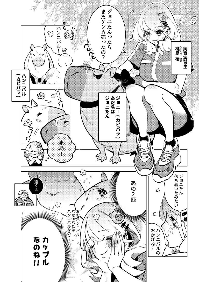 カピバラ発情中♡動物園SEX観察日記 カピバラ発情中♡動物園SEX観察日記