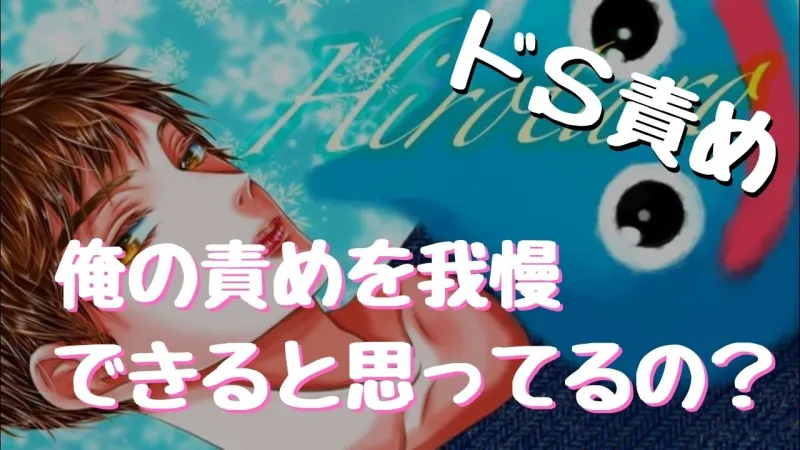 イかせまくっちゃうSボイス10個詰め合わせ!バイブ責めに耳舐めにクンニ責め!あなたはイクのを我慢できるか!