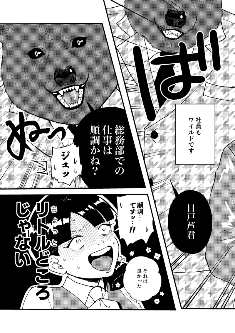 うちのオフィスはちょっとワイルド