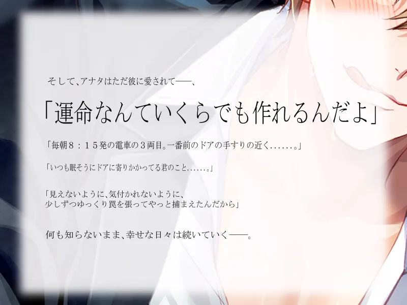 本文説明画像