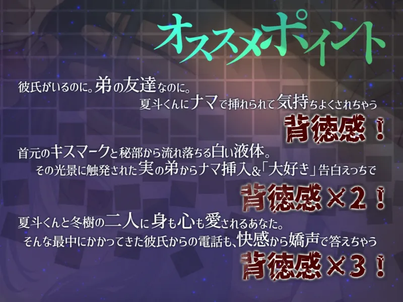 本文説明画像