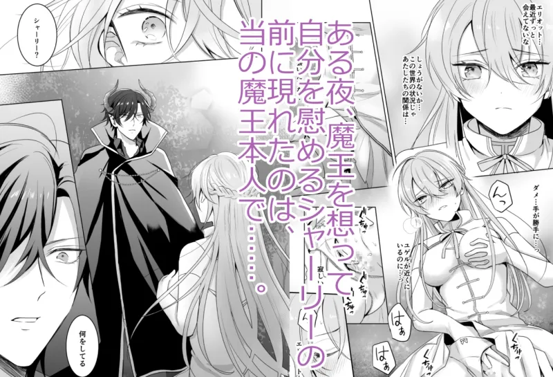 魔宮混淆 後編～女勇者は魔王の愛に乱れる～