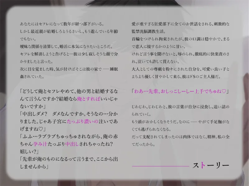 本文説明画像