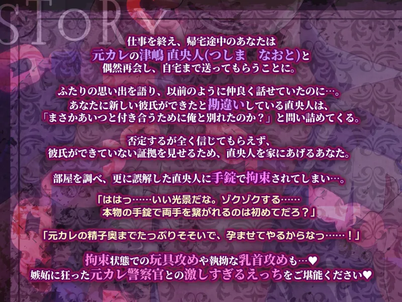 本文説明画像