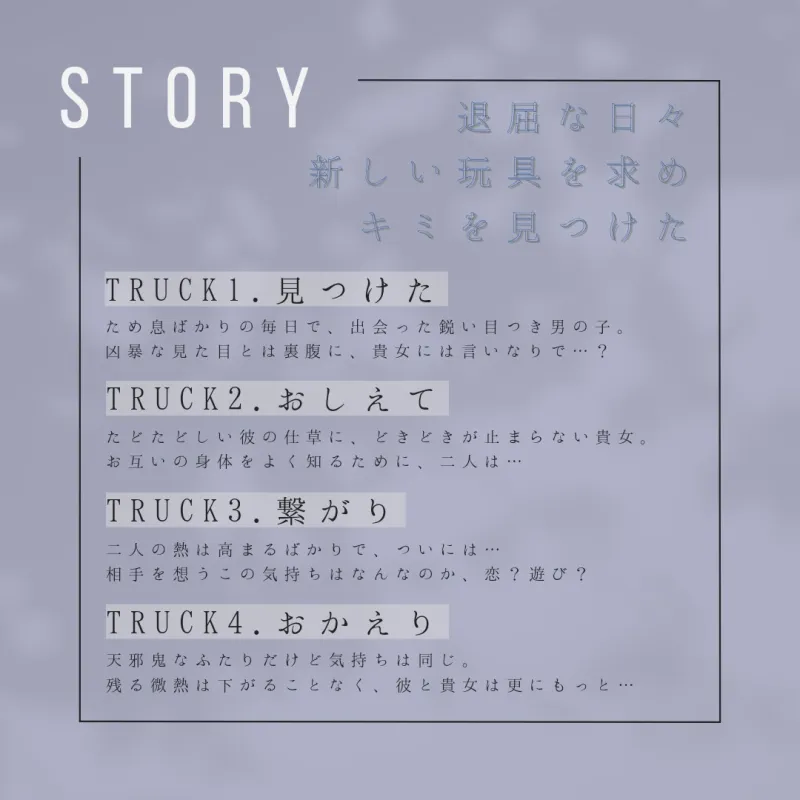 本文説明画像