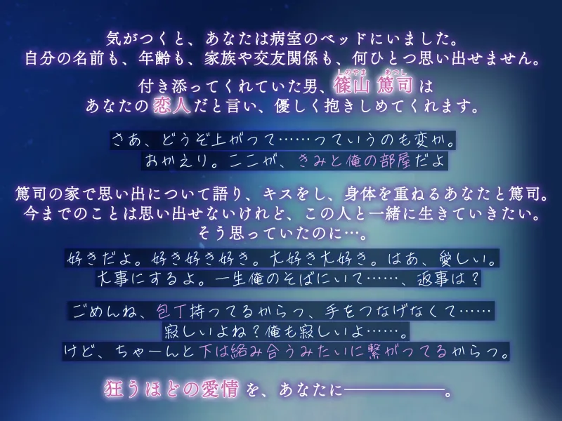 本文説明画像