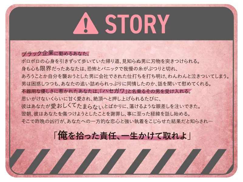 本文説明画像
