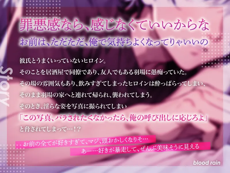 本文説明画像