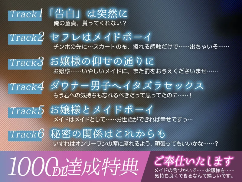 本文説明画像