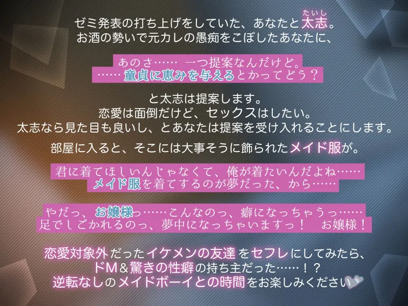 本文説明画像