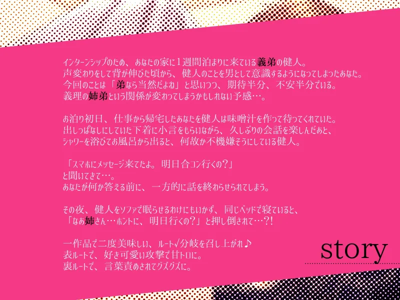 もう姉弟じゃない⁉義弟に迫られて犯されちゃう、禁断の恋〜俺だけの可愛い姉さん〜