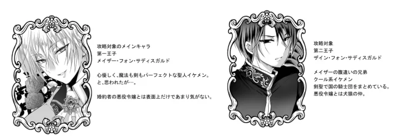 本文説明画像