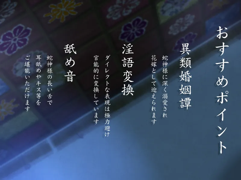 本文説明画像