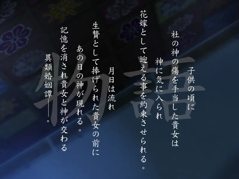 本文説明画像