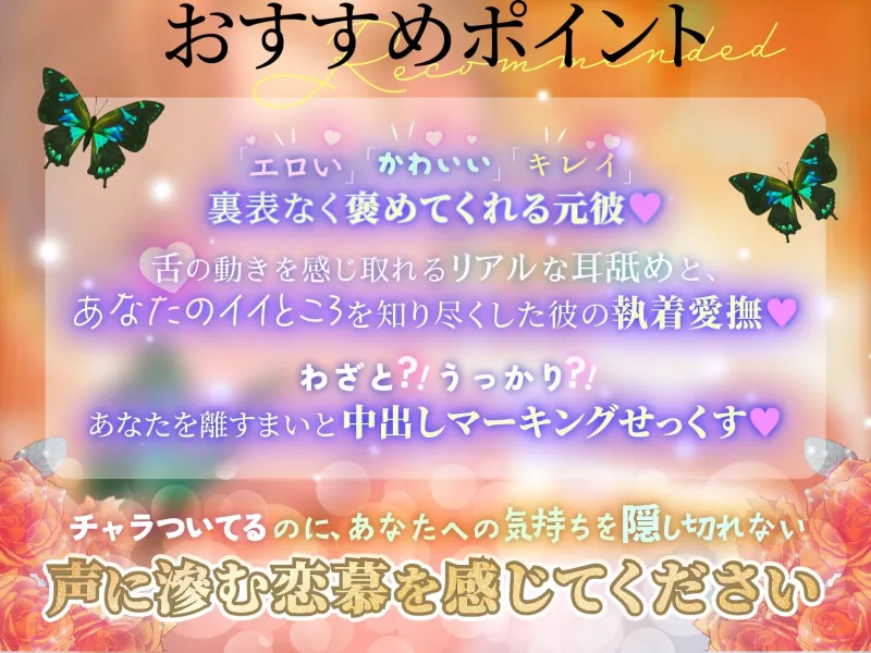 本文説明画像