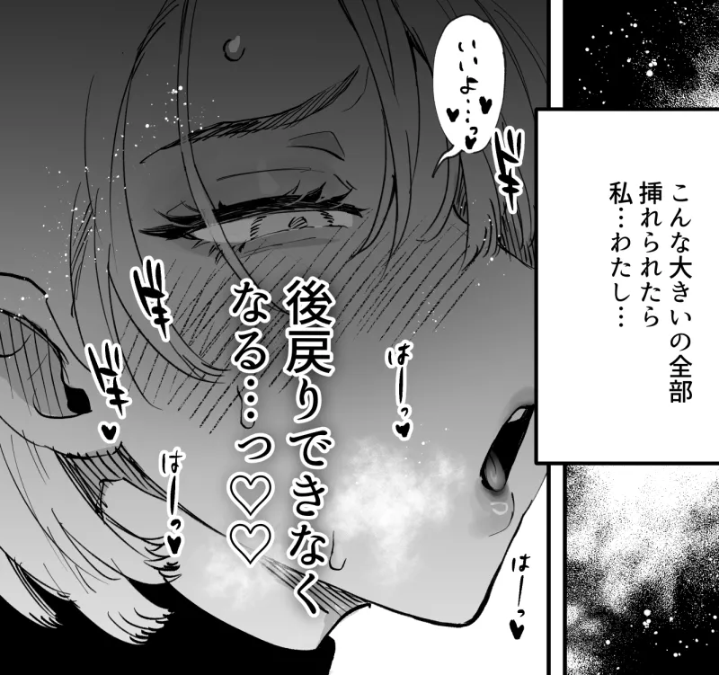 本文説明画像