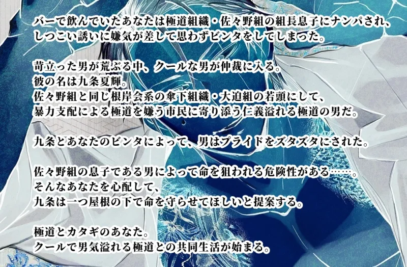 本文説明画像