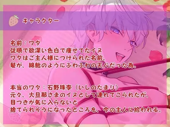 本文説明画像
