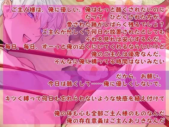 本文説明画像