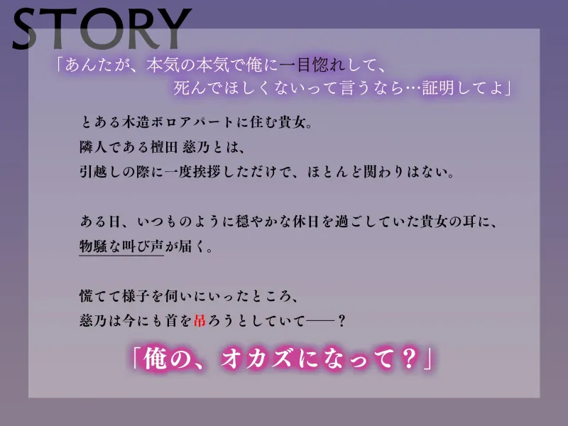 本文説明画像