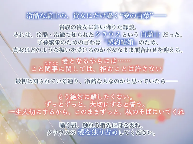 本文説明画像