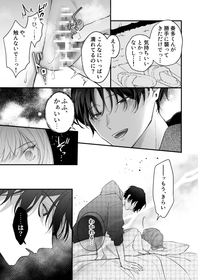 本文説明画像