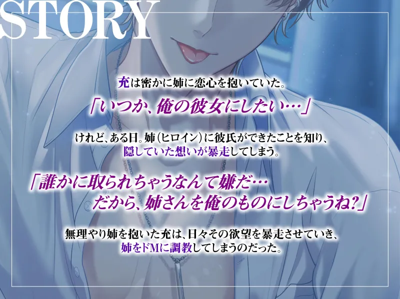 本文説明画像