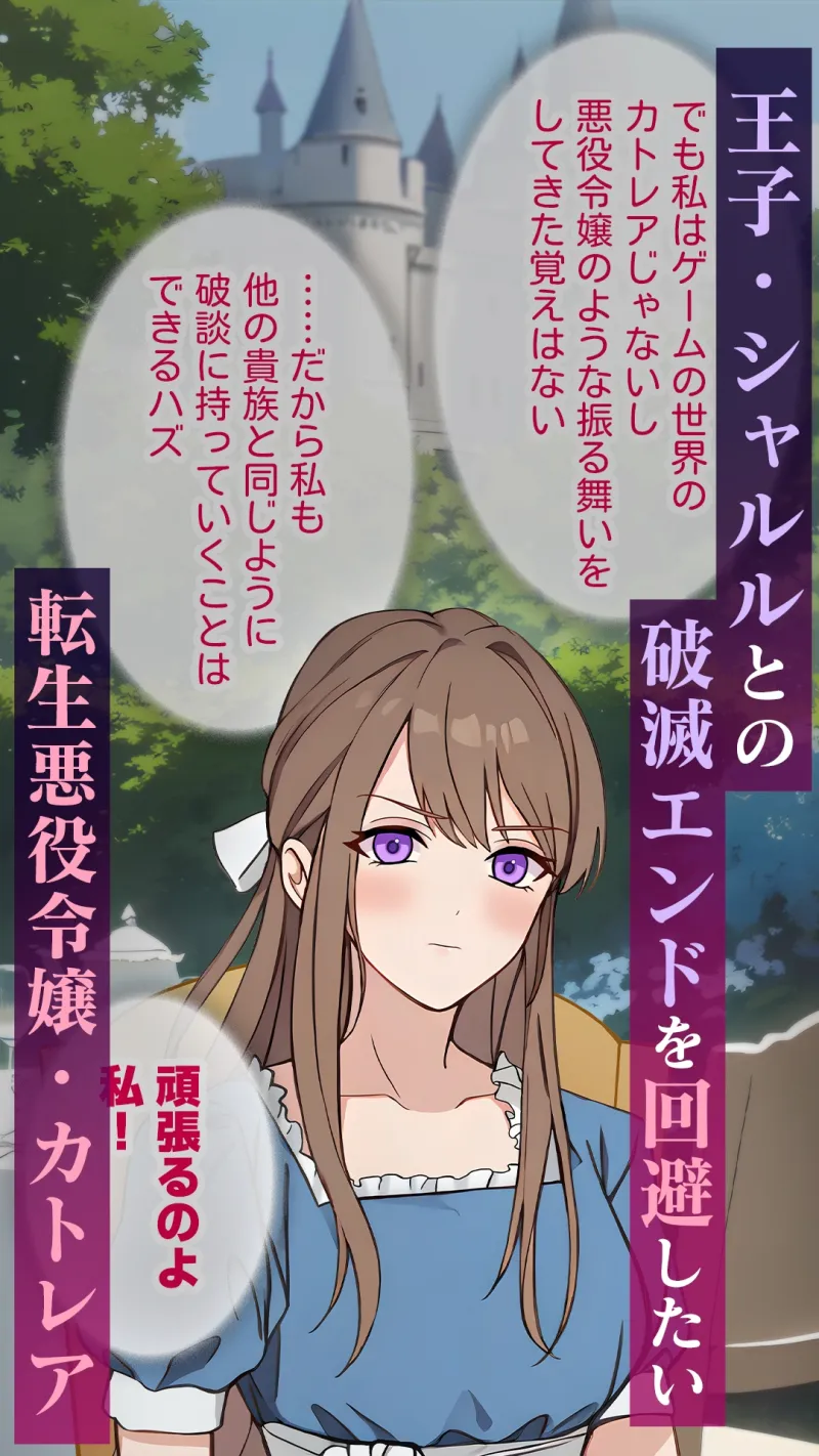 本文説明画像