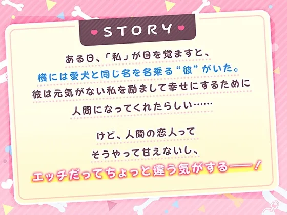 本文説明画像