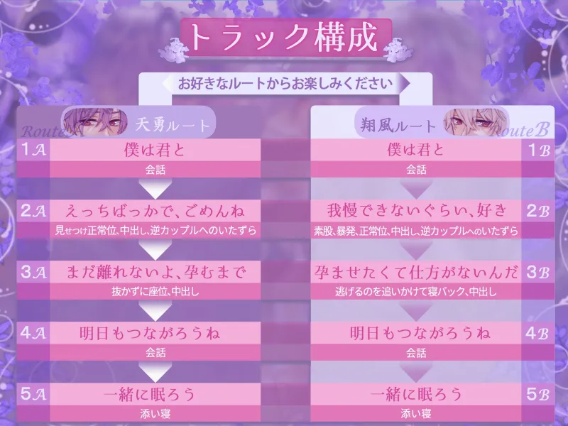 本文説明画像