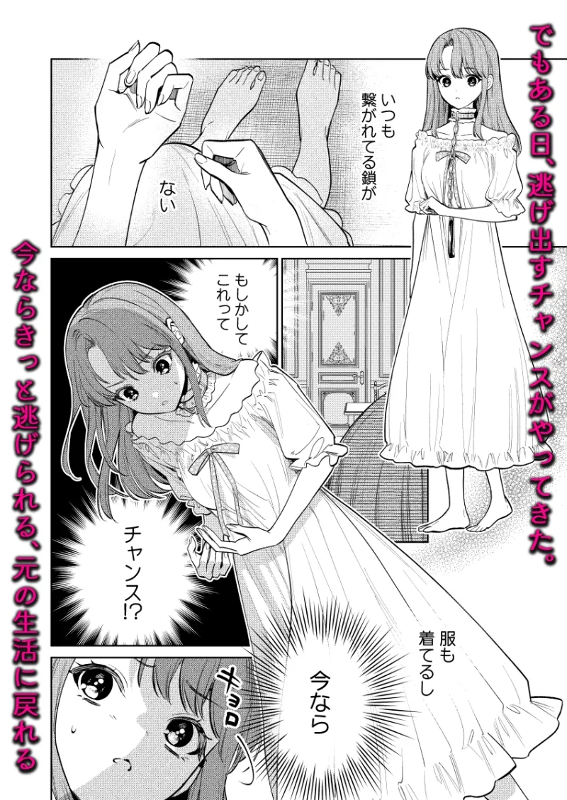 【下巻】MY SWEET BUNNY CAGE(コミック)