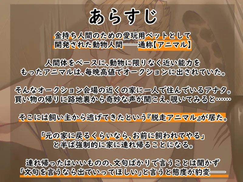 本文説明画像