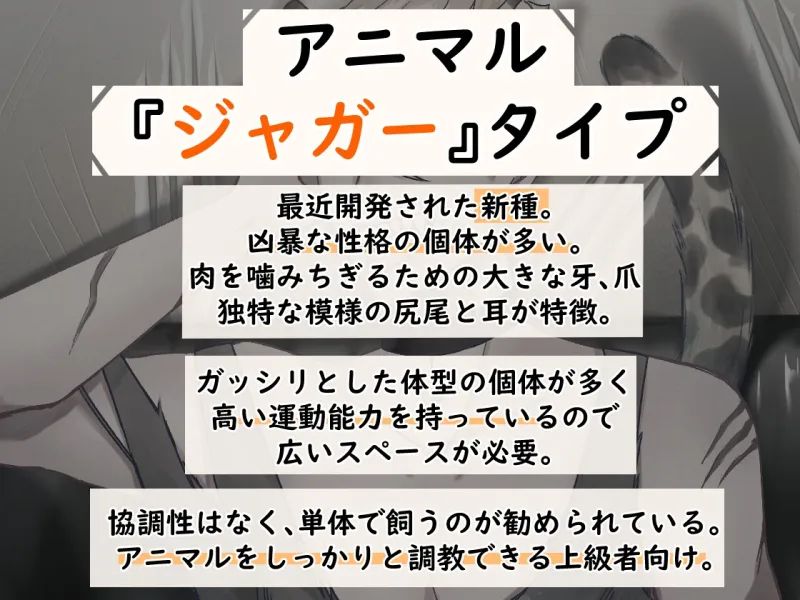 拾ったアニマルは超凶暴!?気絶するまで分からSEX～ジャガーVer～
