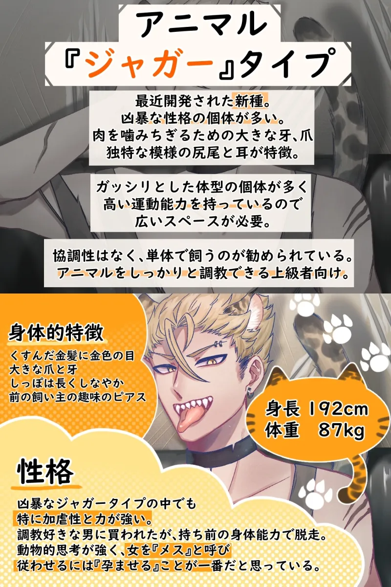 本文説明画像