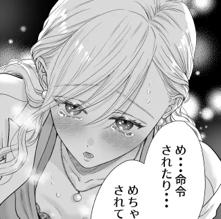 本文説明画像