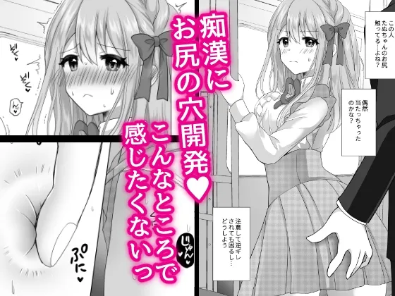 VS痴漢~電車内で拘束され無理やり連続絶頂~