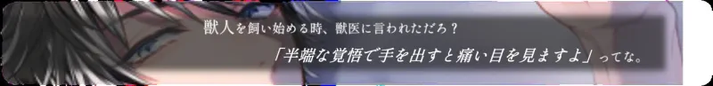 本文説明画像