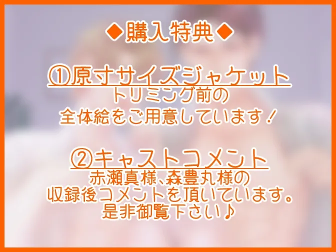本文説明画像