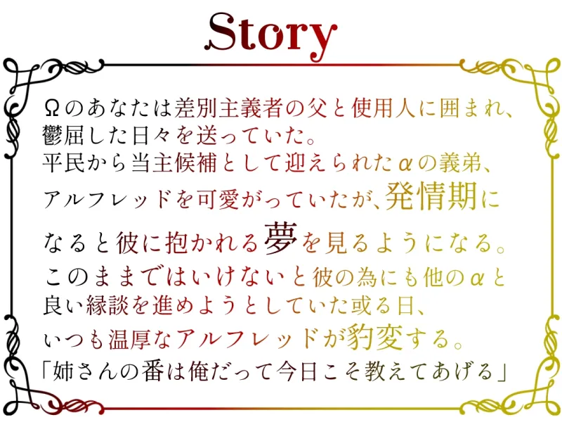本文説明画像