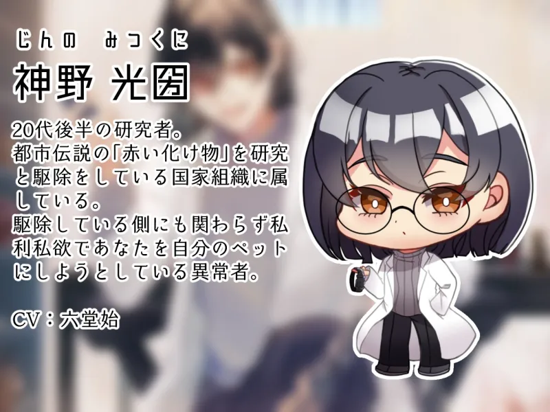 本文説明画像