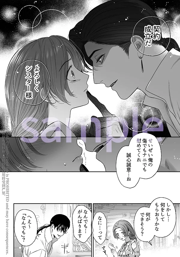 本文説明画像