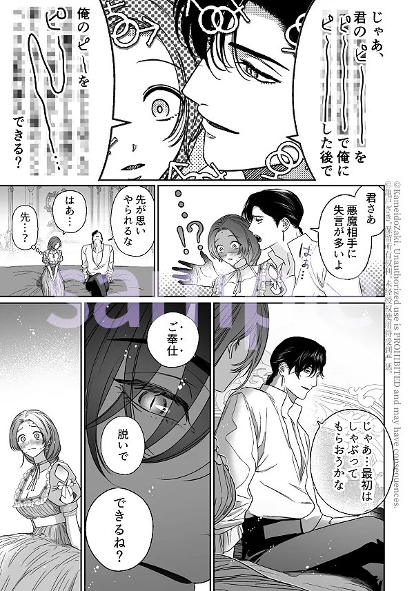 本文説明画像