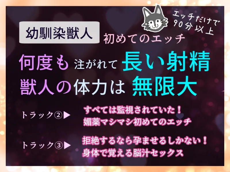 本文説明画像