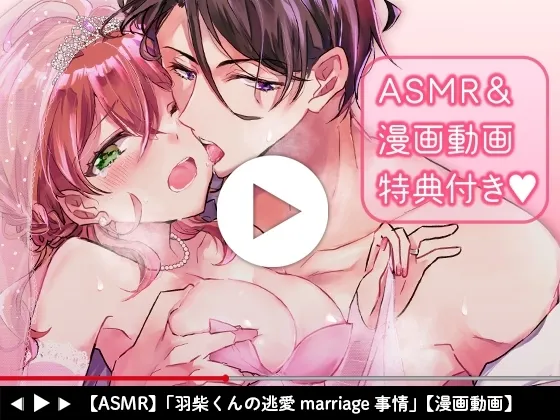 本文説明画像