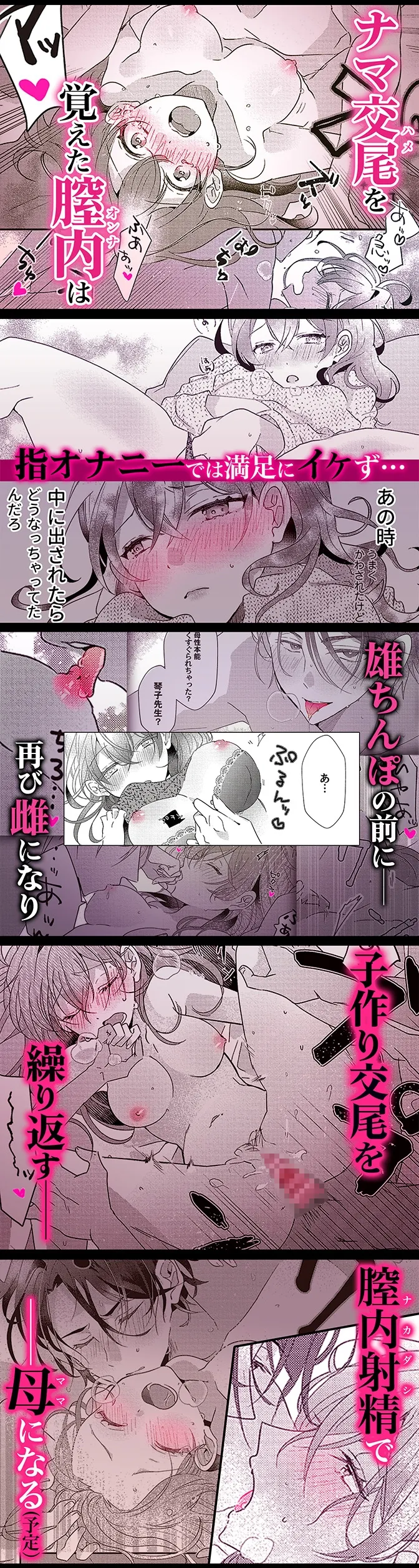 本文説明画像