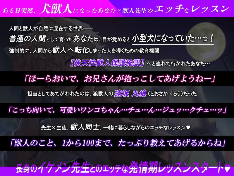 本文説明画像